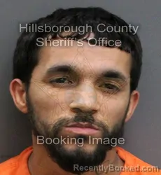 Mugshot of ANGEL RAFAEL ROLON booked in Hillsborough County, Florida on June 12, 2026