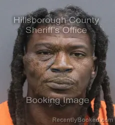 Mugshot of CEDRIC LAVON ROBINSON booked in Hillsborough County, Florida on June 12, 2026