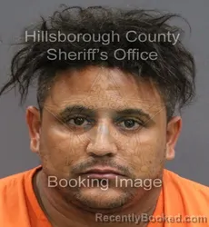Mugshot of ORLANDO ANIEL BORGES GONZALEZ booked in Hillsborough County, Florida on June 12, 2026