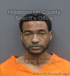 Mugshot of BRYCE ANTHONY NICHOLAS booked in Hillsborough County, Florida on June 12, 2026