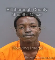 Mugshot of JASIER XAVIOR GRACE booked in Hillsborough County, Florida on June 12, 2026