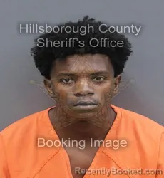 Mugshot of RONALD ANTONIO BYRD booked in Hillsborough County, Florida on June 12, 2026