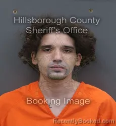 Mugshot of GAGE TROY RICE booked in Hillsborough County, Florida on June 12, 2026