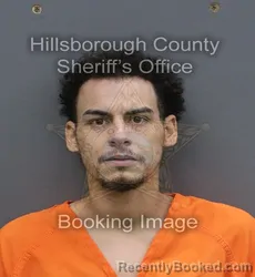 Mugshot of CHRISTOPHER VEGA GOMEZ booked in Hillsborough County, Florida on June 12, 2026