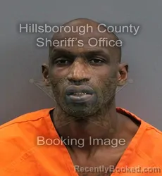 Mugshot of ALVIN DAMAVAY HARRIS booked in Hillsborough County, Florida on June 12, 2026