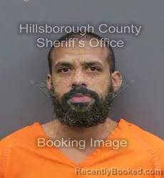 Mugshot of JOSHUA LOVE booked in Hillsborough County, Florida on June 12, 2026