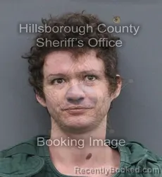 Mugshot of JUSTIN LANE PETERSON booked in Hillsborough County, Florida on June 12, 2026