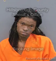 Mugshot of ZAKELLYN ANTWANE FIDDLER booked in Hillsborough County, Florida on June 12, 2026