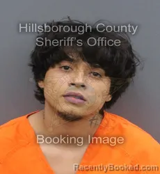 Mugshot of CRISTIAN CASTILLO booked in Hillsborough County, Florida on June 12, 2026