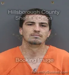 Mugshot of BRANDON DANIEL MINOR booked in Hillsborough County, Florida on June 12, 2026