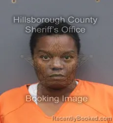 Mugshot of BRITTANY LYNNE ARMSTRONG booked in Hillsborough County, Florida on June 12, 2026