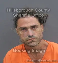 Mugshot of EDWARD FRANK MARTIN booked in Hillsborough County, Florida on June 12, 2026