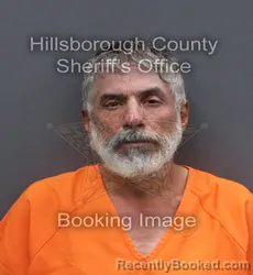Mugshot of WILLIAM SERGIO DELGADO booked in Hillsborough County, Florida on June 12, 2026