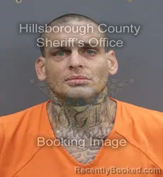 Mugshot of ANTHONY RYAN DENNIS booked in Hillsborough County, Florida on June 12, 2026