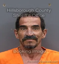 Mugshot of ROLANDO GERMAN LLABONA booked in Hillsborough County, Florida on June 12, 2026