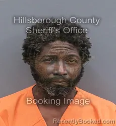 Mugshot of MITCHELL NOEL TAYLOR booked in Hillsborough County, Florida on June 12, 2026