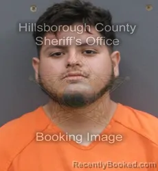 Mugshot of LIBORIO ALBERTO PONCE booked in Hillsborough County, Florida on June 12, 2026