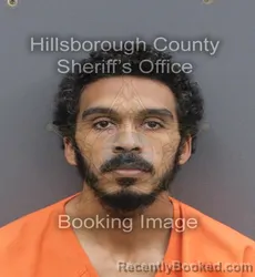 Mugshot of DEVON DUANE GROOMS booked in Hillsborough County, Florida on June 12, 2026