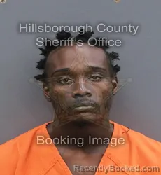 Mugshot of JONTRAYVIOUS ANTHONY JOUBERT booked in Hillsborough County, Florida on June 12, 2026