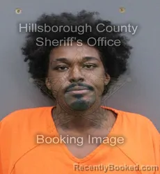 Mugshot of WINFIELD II RISMAY booked in Hillsborough County, Florida on June 12, 2026
