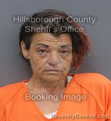 Mugshot of SARAH LEIGH PANNELL booked in Hillsborough County, Florida on June 12, 2026