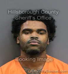 Mugshot of ETHAN ELIJAH KITT booked in Hillsborough County, Florida on June 12, 2026