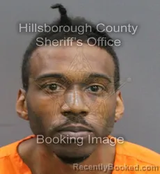 Mugshot of MCKINLEY CHRISTOPHER GRAY booked in Hillsborough County, Florida on June 12, 2026