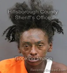 Mugshot of SHAMPAYNE ANDRIKA MARTIN booked in Hillsborough County, Florida on June 12, 2026