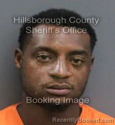 Mugshot of DONNELL JR HEMMINGWAY booked in Hillsborough County, Florida on June 12, 2026