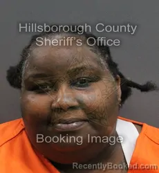 Mugshot of SEMONE PALMORE booked in Hillsborough County, Florida on June 12, 2026