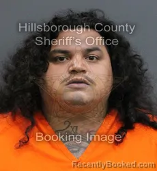 Mugshot of RYAN DWIGHT LUCAS booked in Hillsborough County, Florida on June 12, 2026