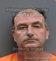 Mugshot of DOMINIC MYRON NAPPER booked in Hillsborough County, Florida on June 13, 2026