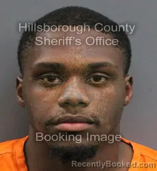 Mugshot of TOMARKOUS SHANTAVIOUS MCDONALD booked in Hillsborough County, Florida on June 13, 2026