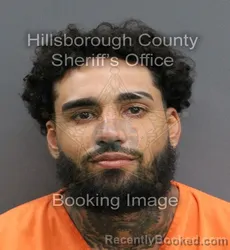 Mugshot of NOAH JESSE GONZALEZ booked in Hillsborough County, Florida on June 13, 2026