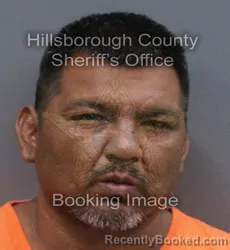 Mugshot of JOEL ALEX PINA booked in Hillsborough County, Florida on June 13, 2026