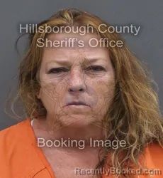 Mugshot of DENISE ENFINGER BURNETT booked in Hillsborough County, Florida on June 13, 2026