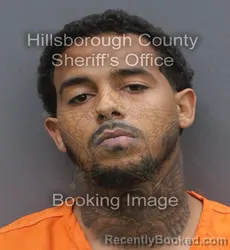 Mugshot of DEYANTA TARELL SHREVE booked in Hillsborough County, Florida on June 13, 2026
