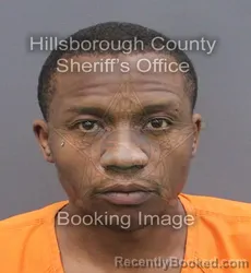 Mugshot of DEMETRIUS RICARDO POWELL booked in Hillsborough County, Florida on June 13, 2026