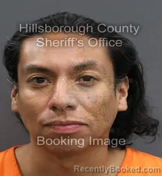 Mugshot of LARRY PACO MCCOOK booked in Hillsborough County, Florida on June 13, 2026