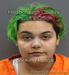 Mugshot of ABIGAIL ROSE MATTHAY booked in Hillsborough County, Florida on June 13, 2026