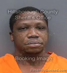 Mugshot of ARTHUR LEE JR GODWIN booked in Hillsborough County, Florida on June 13, 2026