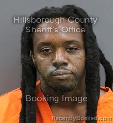 Mugshot of ELIJAH ROOSEVELT RHODES booked in Hillsborough County, Florida on June 13, 2026