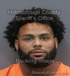 Mugshot of DIEGO ABREU SANTIAGO booked in Hillsborough County, Florida on June 13, 2026