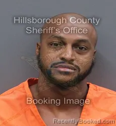 Mugshot of JIMMY LEE JR GASKINS booked in Hillsborough County, Florida on June 13, 2026