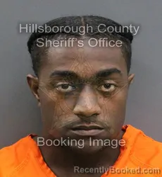 Mugshot of UNIQUE ALI PUSHA LEWIS booked in Hillsborough County, Florida on June 13, 2026
