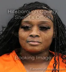Mugshot of ASHAUNTIA D VEREEN booked in Hillsborough County, Florida on June 13, 2026