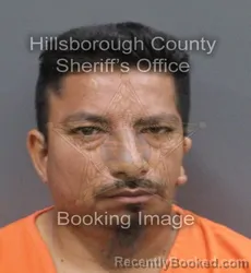 Mugshot of LEONEL PALLARES FERREL booked in Hillsborough County, Florida on June 13, 2026