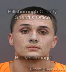Mugshot of BRENDAN JOSEPH MARTEL booked in Hillsborough County, Florida on June 13, 2026