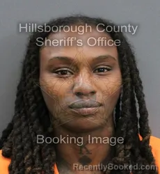Mugshot of AKAYZEE KAREONA WRIGHT booked in Hillsborough County, Florida on June 13, 2026