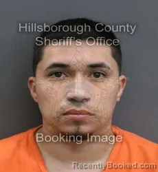 Mugshot of MICHAEL OLIVEROS booked in Hillsborough County, Florida on June 13, 2026